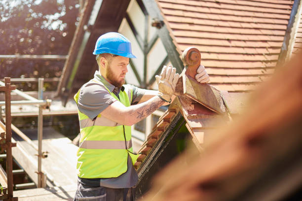 Roof Gutter Cleaning in Dover Beaches South, NJ